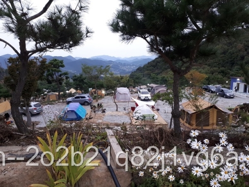 •캠핑 A구역(공지사항과팝업공지창을확인해주세요) 포토